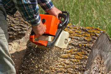 Sticker - Man cuts a fallen tree.