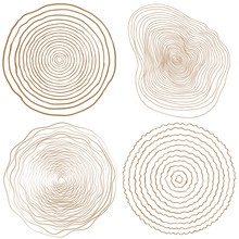 Vector Tree Rings Background And Saw Cut Tree Trunk