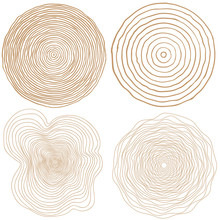 Vector Tree Rings Background And Saw Cut Tree Trunk 