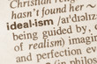 Dictionary definition of word idealism