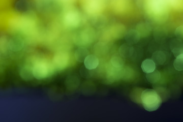 Abstract green natural bokeh background