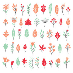 Wall Mural - Big set of autumn leaves