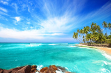 Beach Side Sri Lanka With Coconut Trees