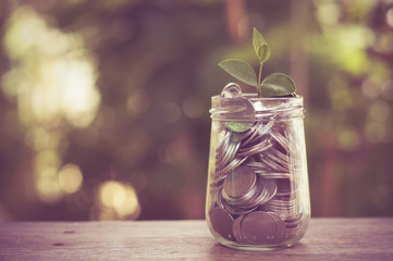 plant growing out of coins with filter effect retro vintage styl