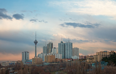 Wall Mural - Milad Tower among High Rise Building in the Skyline of Tehran