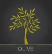 Olive tree label on dark background. Vector illustration