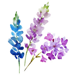 Wall Mural - Watercolor flowers