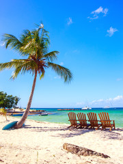 Wall Mural - Caribbean beach in Dominican Republic