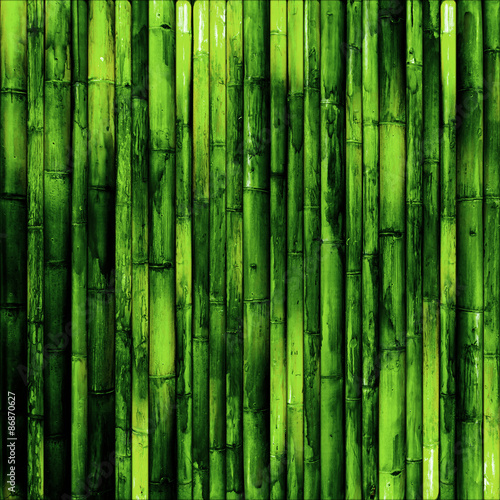 Fototapeta na szkło Ściana bambusowa