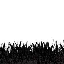 Black And Grey Grass Abstract Natural Background