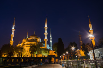 Wall Mural - Blue Mosque at night, Istanbul, Turkey