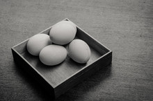 Black And White Egg