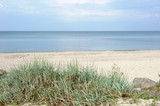 Fototapeta Morze - Deserted Beach