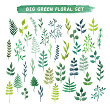 Vector Watercolor Floral Set. Big Green Floral Collection.