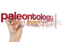 Paleontology Word Cloud