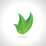 Fototapeta Na ścianę - three green leaf save green concept vector 