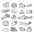 © Victoria Sergeeva - hand drawn vegetable