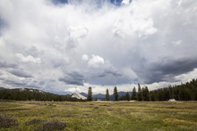 Toulumne Meadows Yosemite National Park