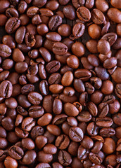 Wall Mural - coffee background