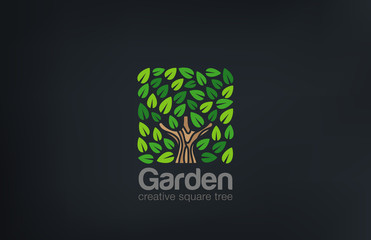 Poster - Abstract Green Tree Logo Square shape design vector template. ..
