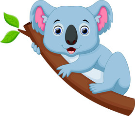 Wall Mural - Cute koala cartoon on a tree