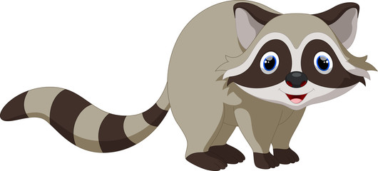 Wall Mural - Cute raccoon cartoon