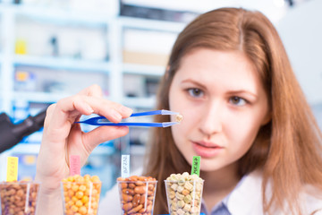 Wall Mural - Research seed in Laboratory