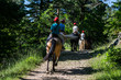 © Pictures news - Equitation
