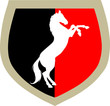 Horse on the black and red shield