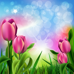 Wall Mural - Tulips Background