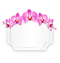 Pink Orchid Flowers With Celebration Frame Isolated On White Bac