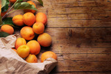 ᏓᎶᏂᎨ ᎠᏓᏛᏍᎩ Abrikos Abricot Albicocche Βερίκοκο Apricot जर्दाळू Morela Abrikoto சர்க்கரை பாதாமி خوبانۍ 