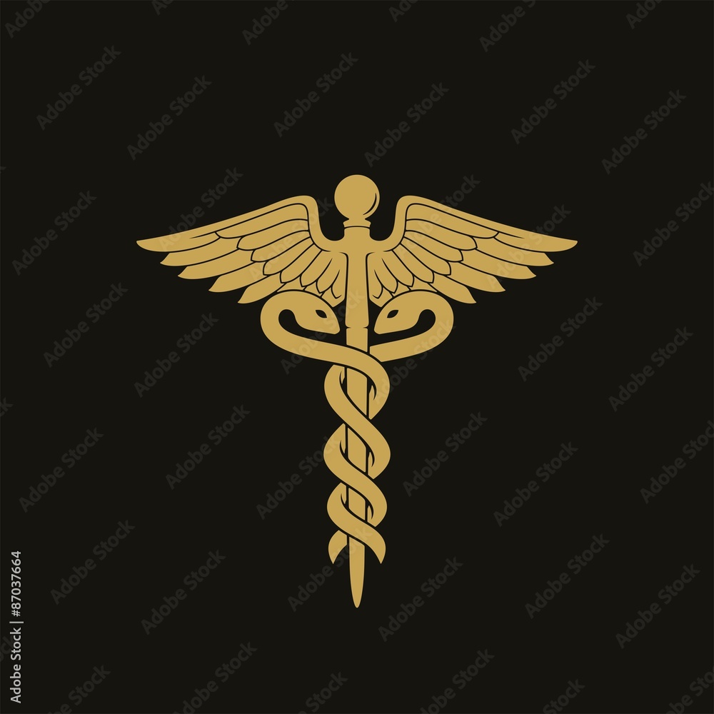 Caduceus / Vector illustration Stock Vector | Adobe Stock