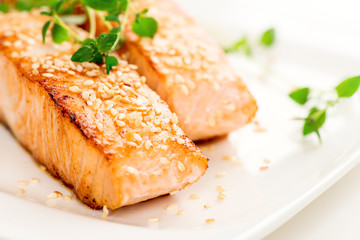 Wall Mural - Grilled salmon on white plate macro