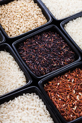 Canvas Print - Various types of rice 