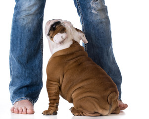 woman and her dog