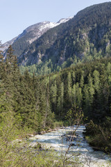 Sticker - River in the Denver Valley