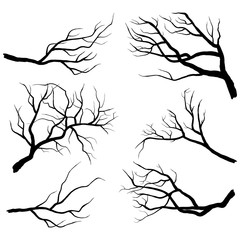 branch silhouettes