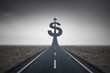 © 29mokara - Road heading toward a dollar sign