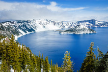Pine Forest And Island At Crater Lake