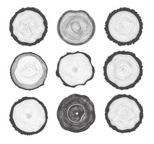 Collection Of Tree Rings