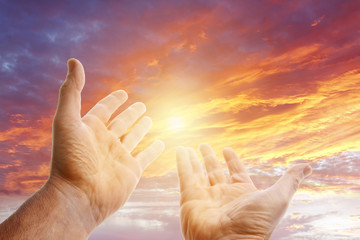 Wall Mural - Hands reaching out in sunny sky