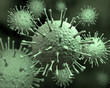 Virus - Up Close: An illustration of colonies of the influenza virus at a magnified view as if taken with an electron scanning microscope.