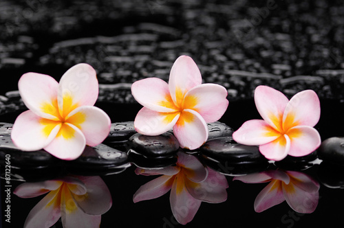 Plakat na zamówienie Three frangipani with black wet stones