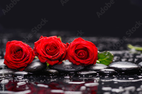 Nowoczesny obraz na płótnie Lying down red three rose with therapy stones 