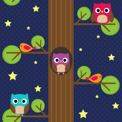 Fototapete - Owls at night on the tree