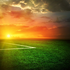 Soccer green field