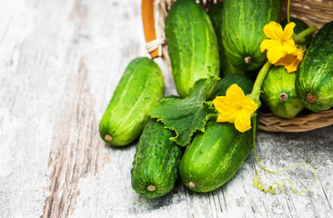 Canvas Print - Fresh cucumbers