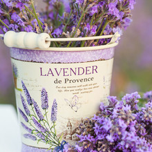 Accessories In Lavender Flowers
