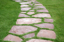 The Path Way In The Garden